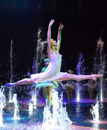 The House of Dancing Water The House of Dancing Water