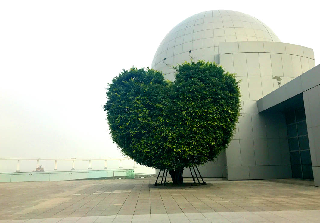 Macao Science Center: View